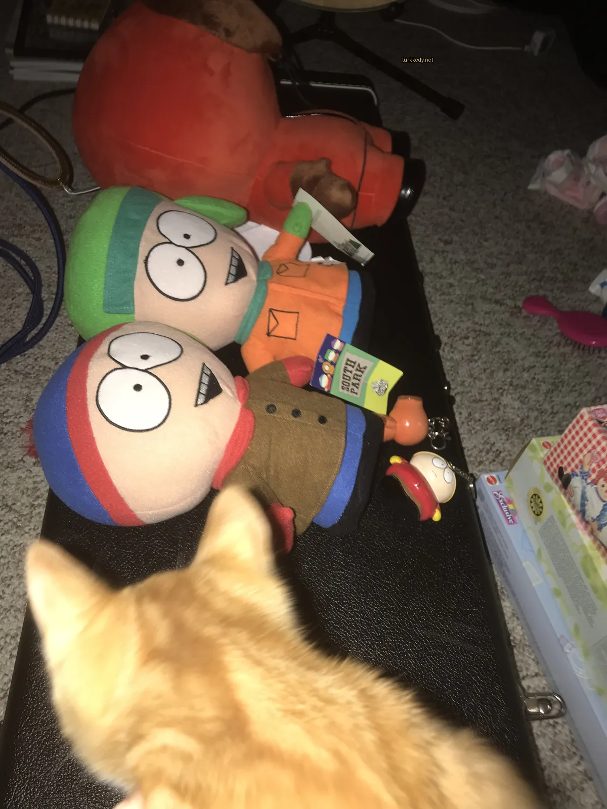 Bir turuncu kedi siyah bir kutuya oturuyor.