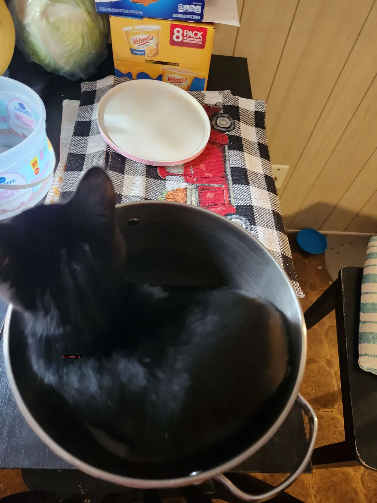 Siyah bir kedi bir tencerede oturuyor.