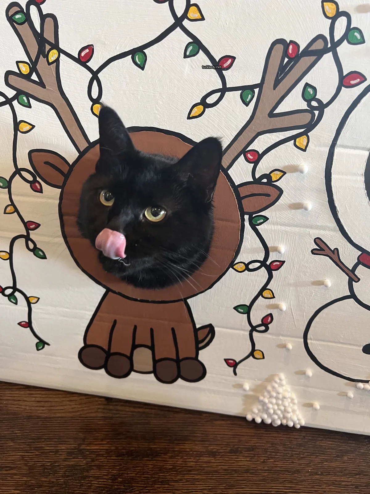 Siyah bir kedi, beyaz yüzü ve dilini dışarı çıkaran bir geyik figürünün önünde.