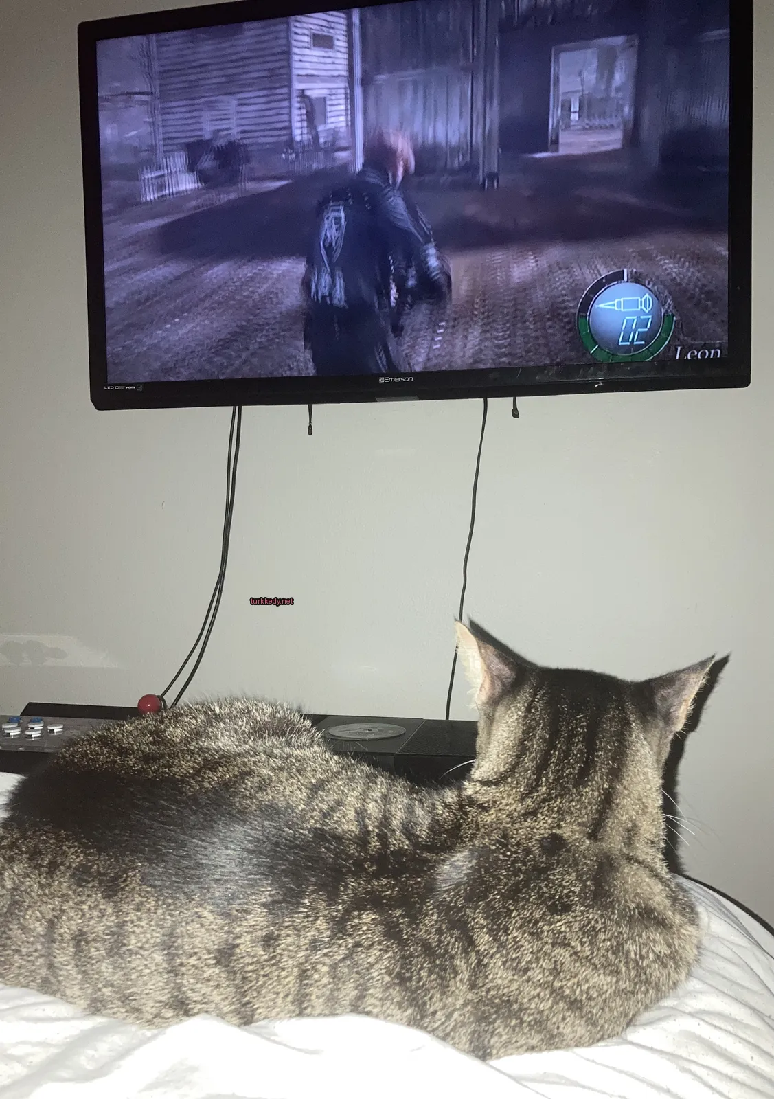 Bir çizgili kedi bir televizyonun önünde bir masada yatıyor.
