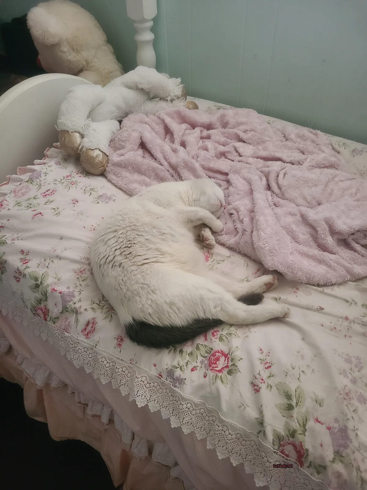 Beyaz bir kedi, siyah kuyruğu ve ayakları ile yatağın üzerinde yatıyor.