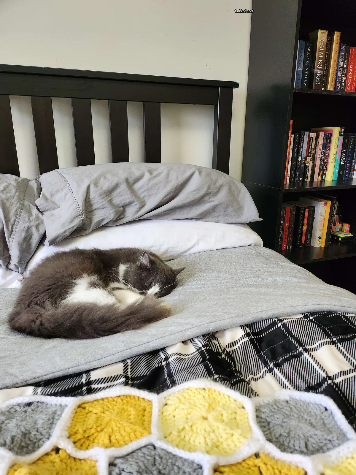 Beyaz ve gri bir kedi yatağın üzerinde uyuyor.