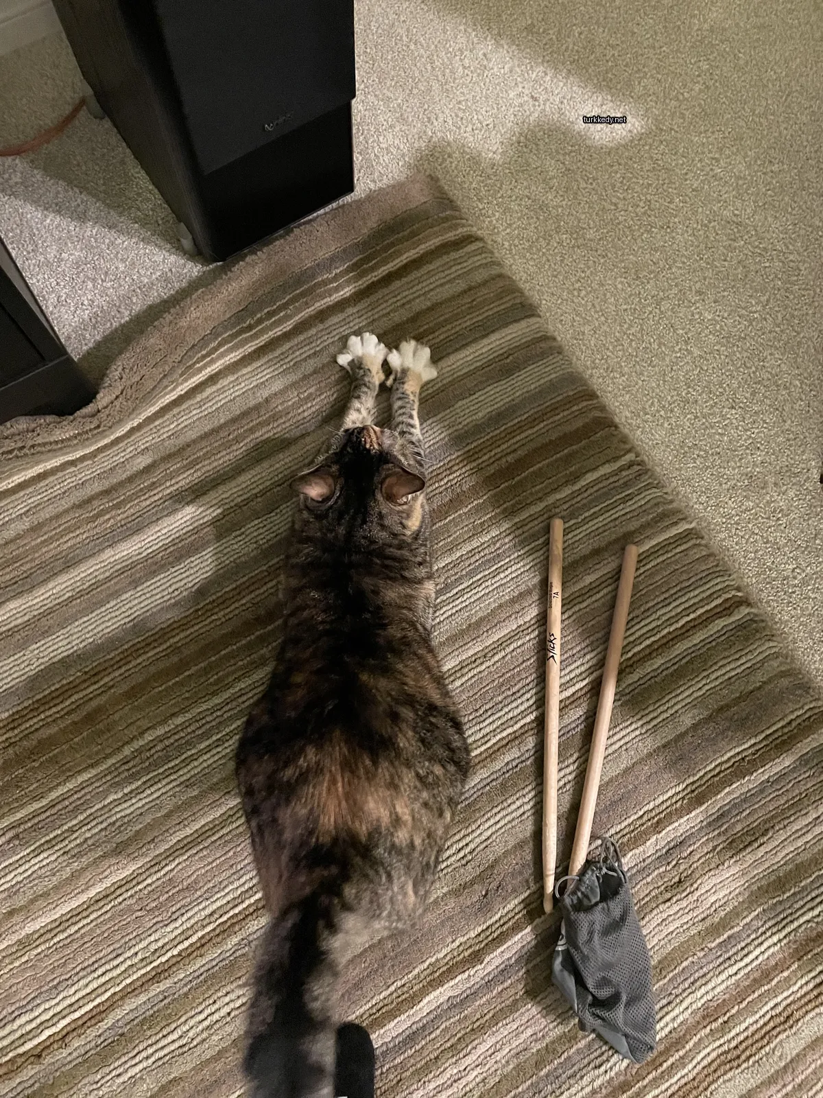 Kırmızı-beyaz desenli bir kedi bir halı üzerinde yatıyor.