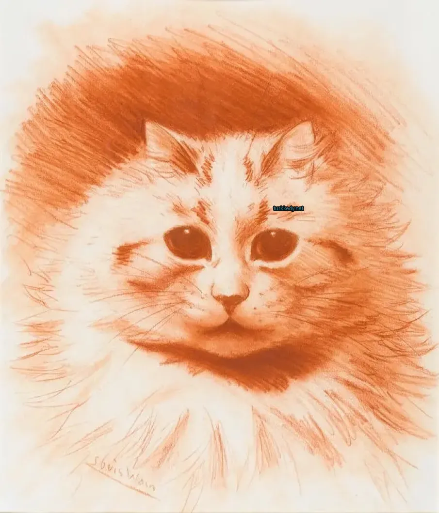 Beyaz ve kahverengi bir kedi, siyah burun ve gözleri var.