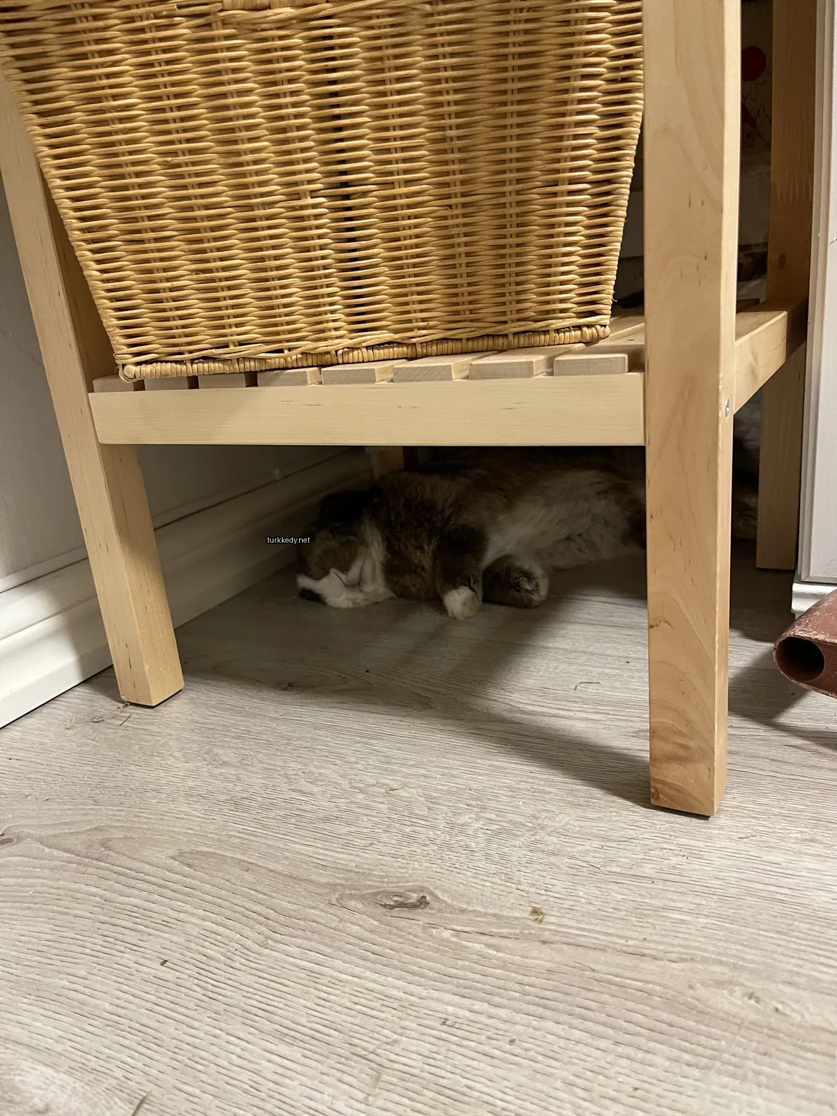 Kara ve beyaz bir kedi bir wicker sepetin altındadır.