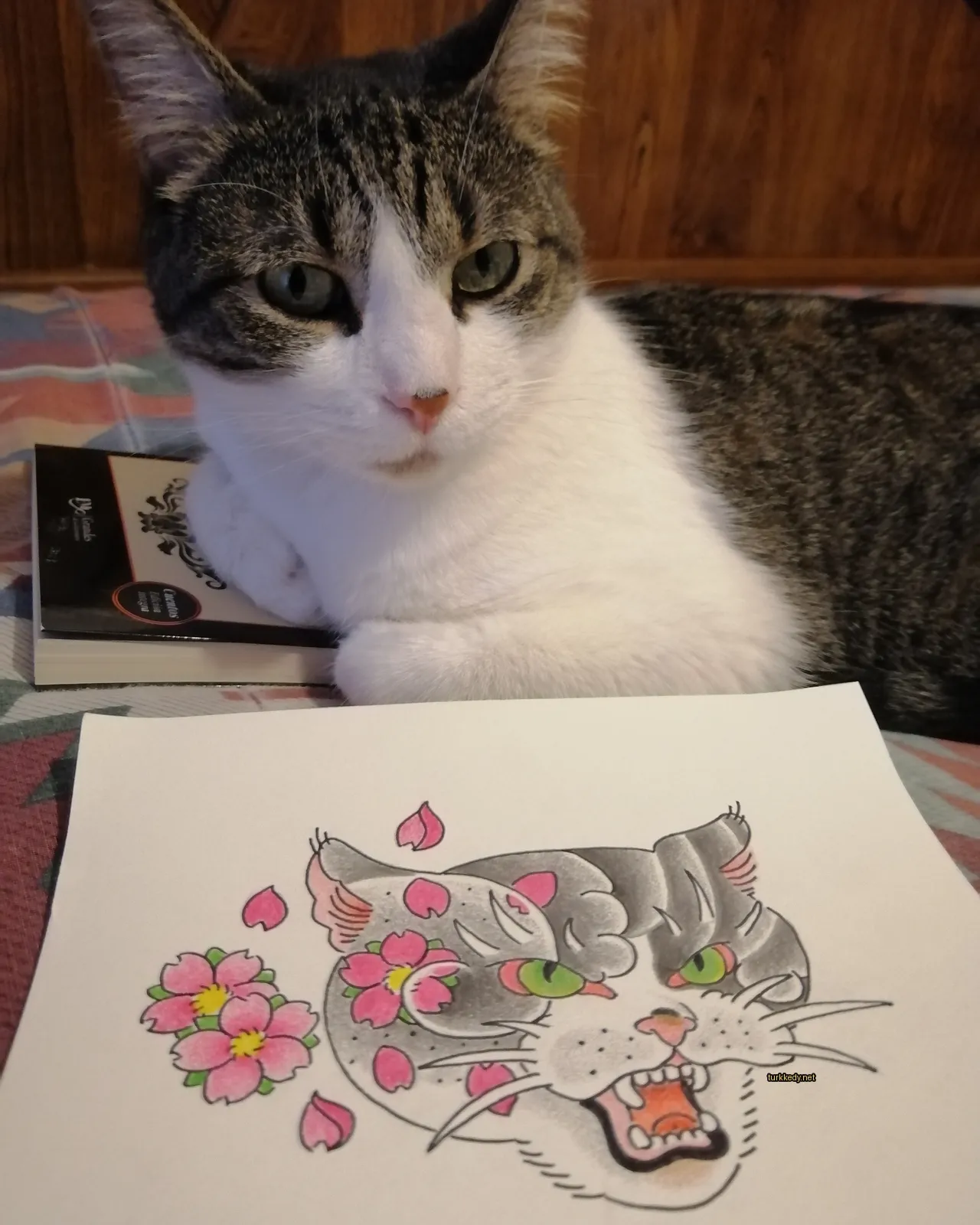 Siyah beyaz bir kedi yatakta bir kediler çizimi yanına yatılmış.