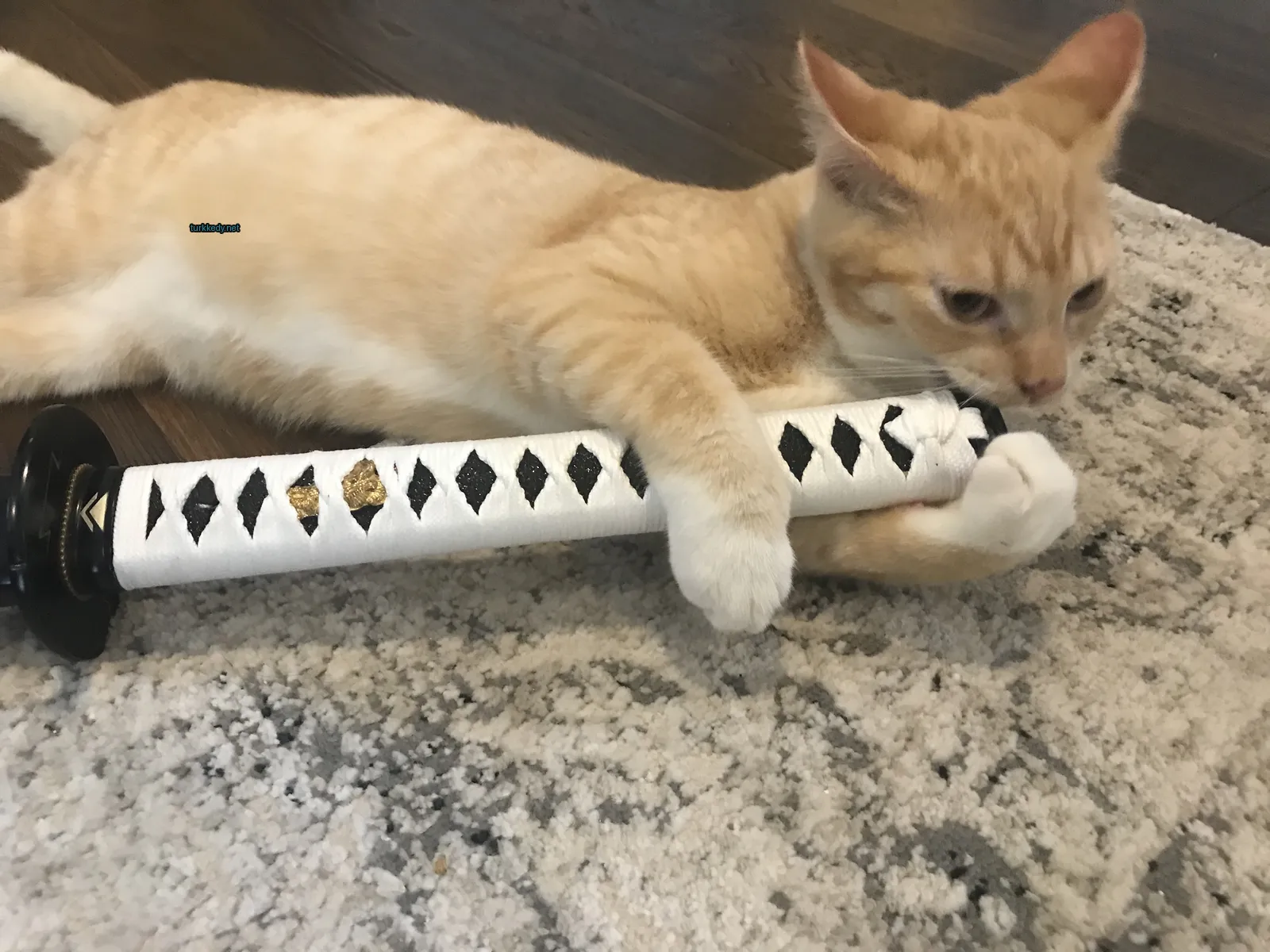Sarı ve beyaz bir kedi beyaz ve siyah şeritli bir objenin üzerinde yatıyor.