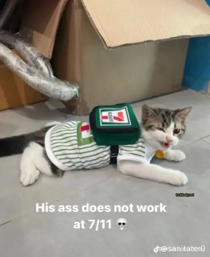 Yeşil ve beyaz tişört ve yeşil çantasıyla bir kedi.
