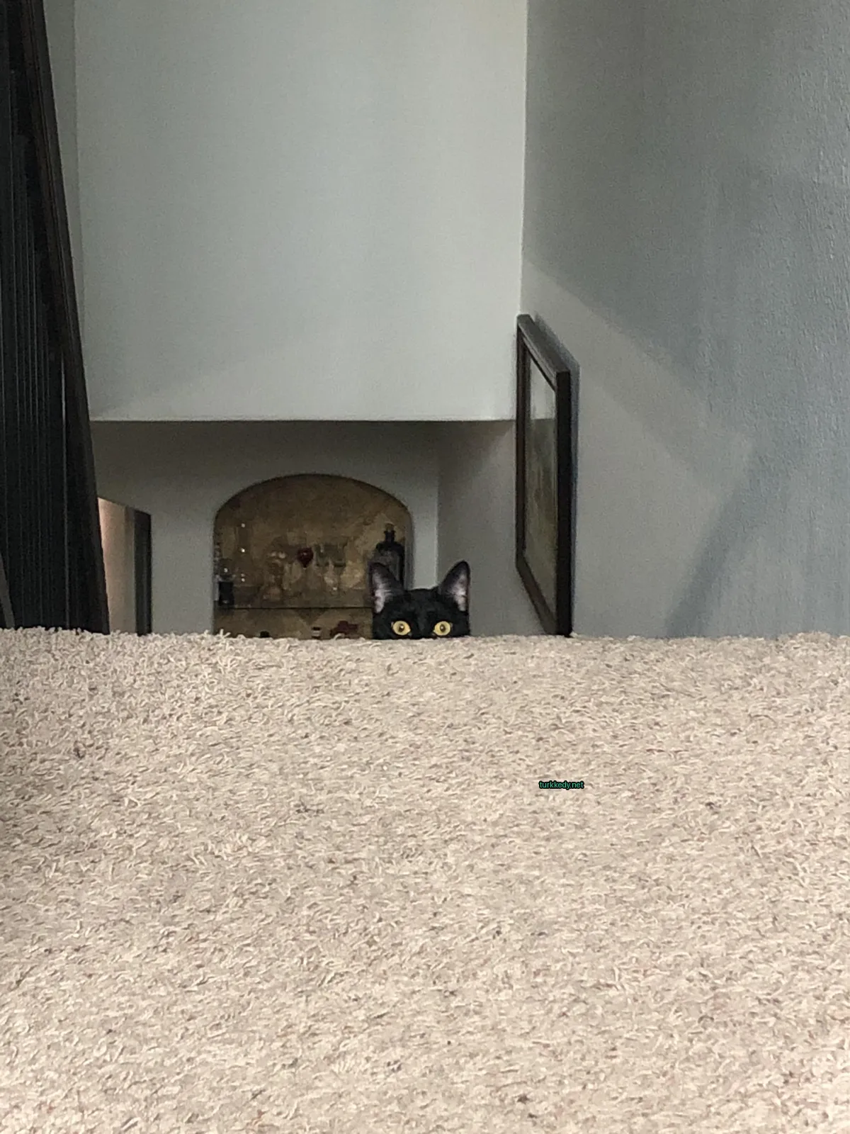 Siyah bir kedi, sarı gözleri ile bir kapının ardında gizleniyor.