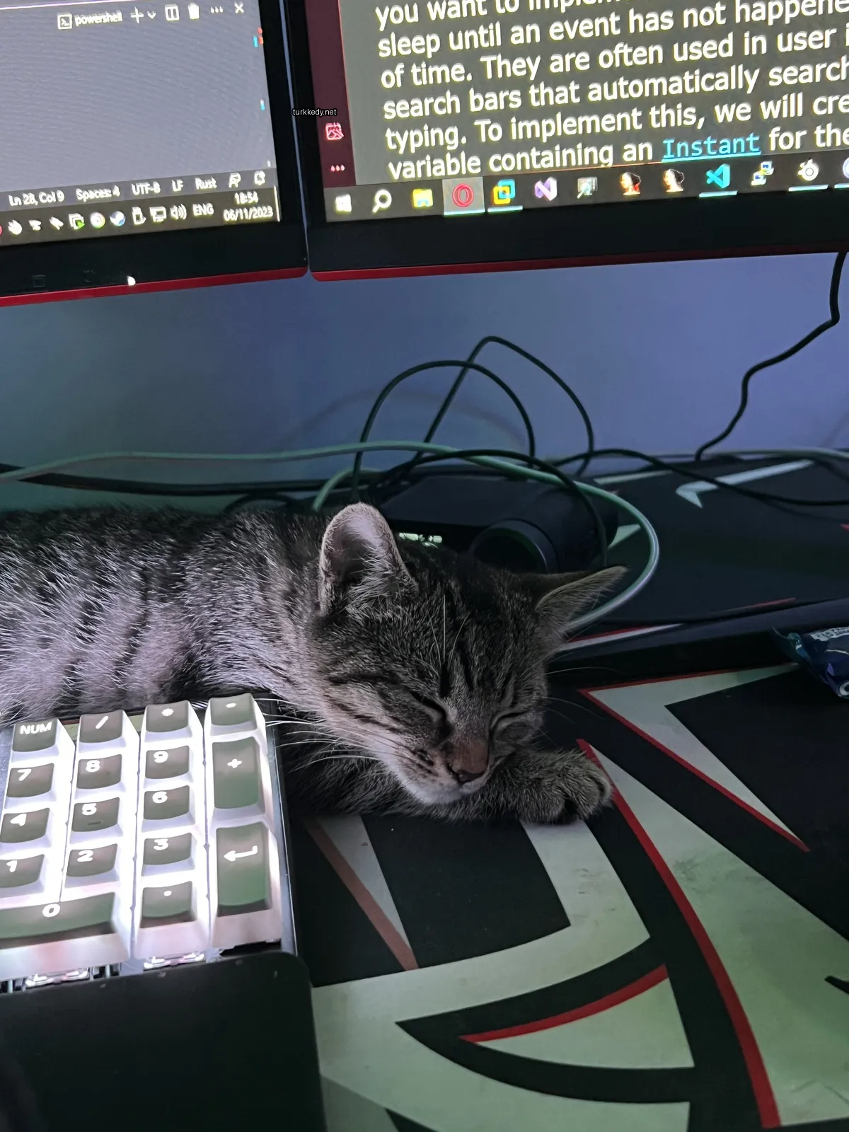 Beyaz ve gri bir kedi bilgisayarın klavyesinde uyuyor.