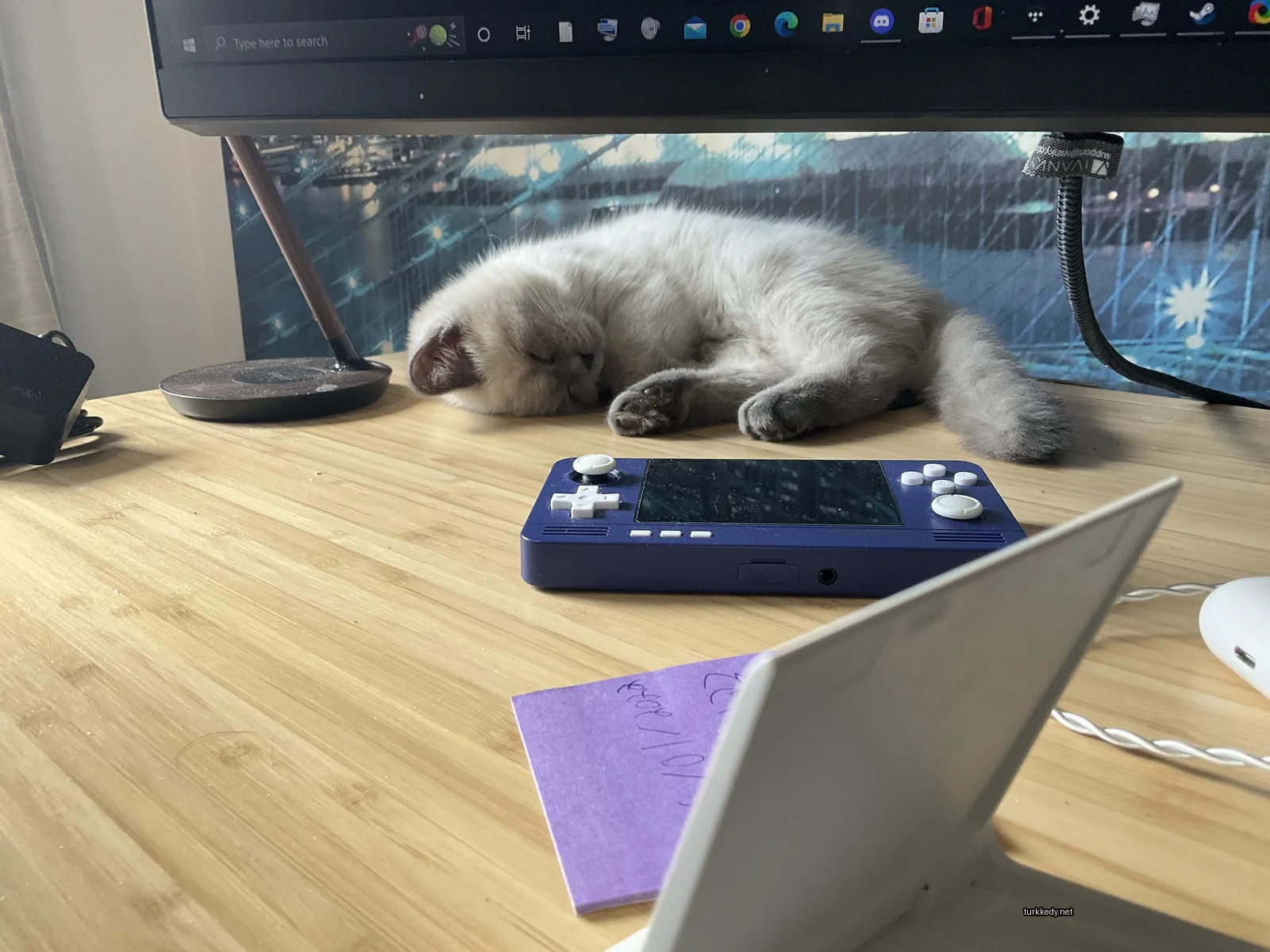 Bir gri ve beyaz kedi masa üzerinde uyuyor.
