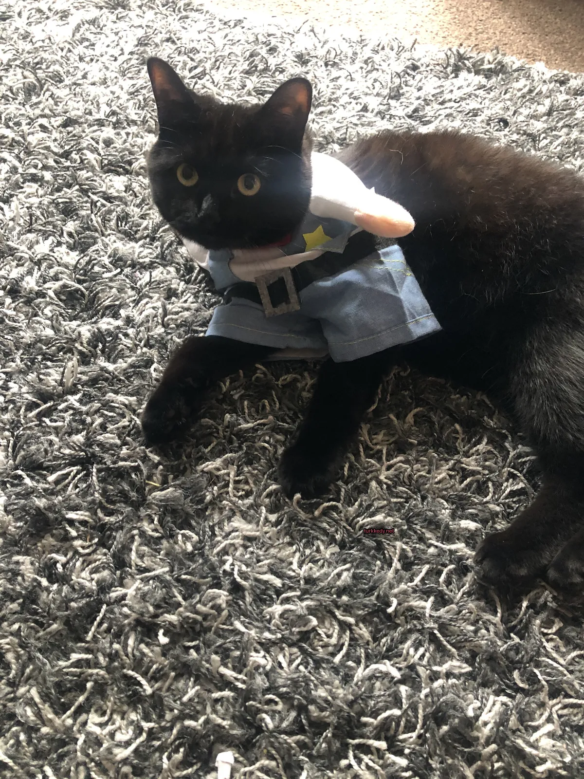 Kara bir kedi, Star Wars kostümü içinde bir kumaş üzerinde yatıyor.