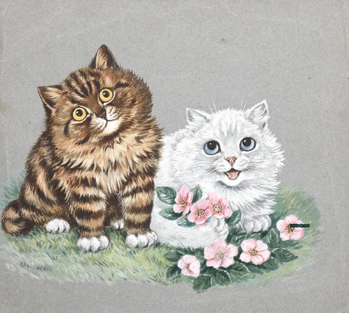 Kahverengi ve beyaz bir kedi, sarı gözleri ve şeritli deseni ile beyaz bir kediye yan yana oturuyor.