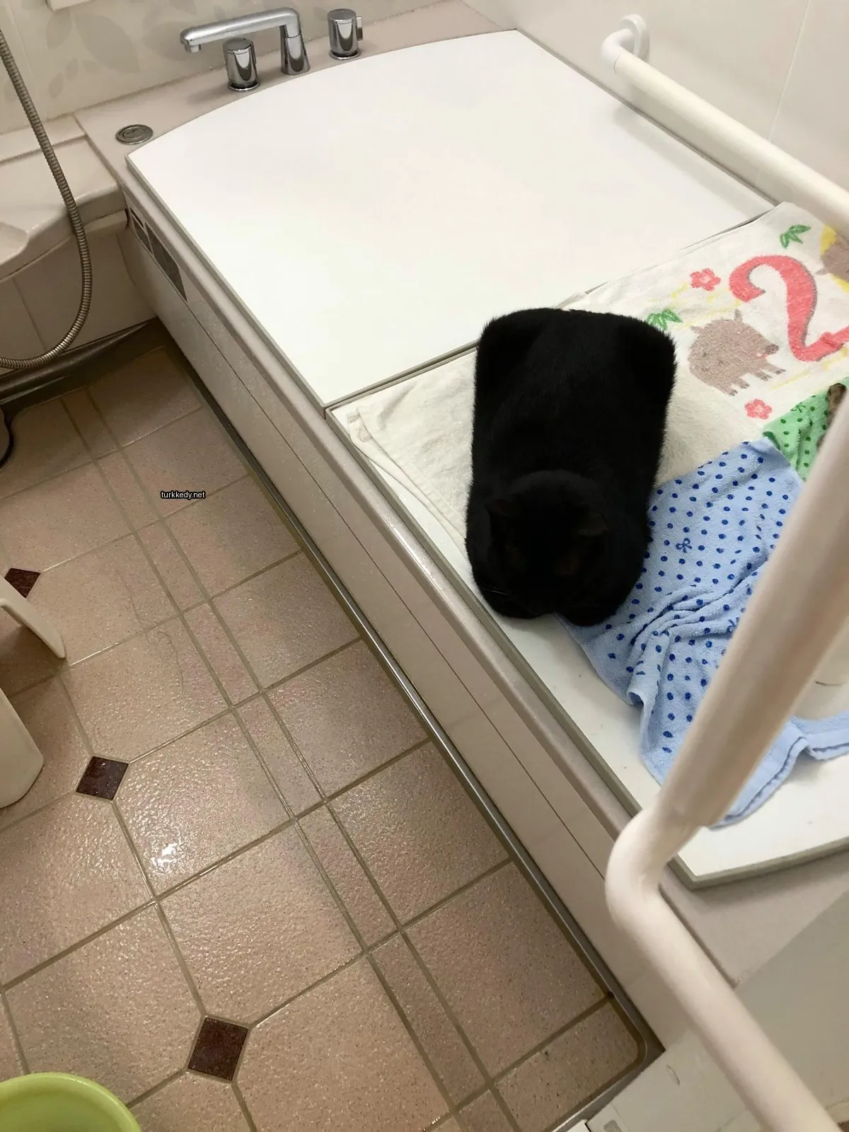 Bir siyah kedi bir havlu üzerinde bir banyoda yatıyor.