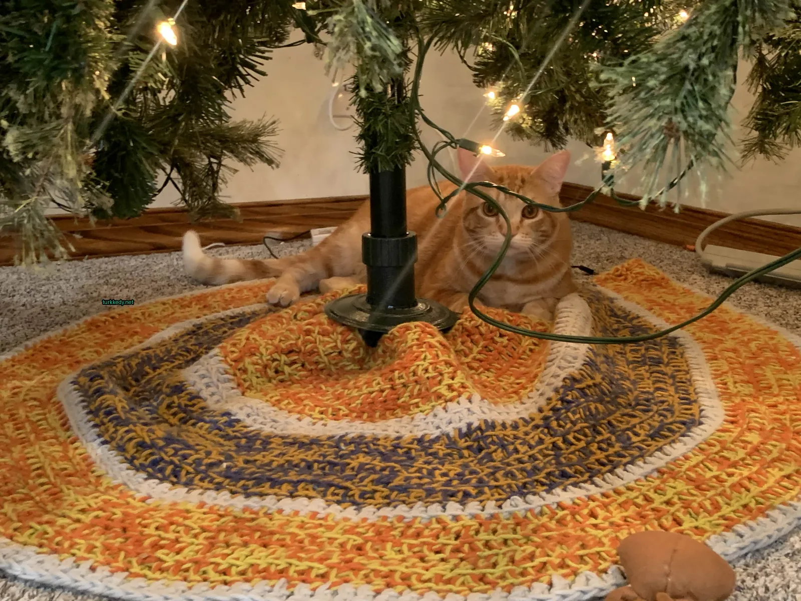 Kırmızı ve beyaz bir kedi Noel ağacının altındaki bir battaniyenin üzerinde yatıyor.