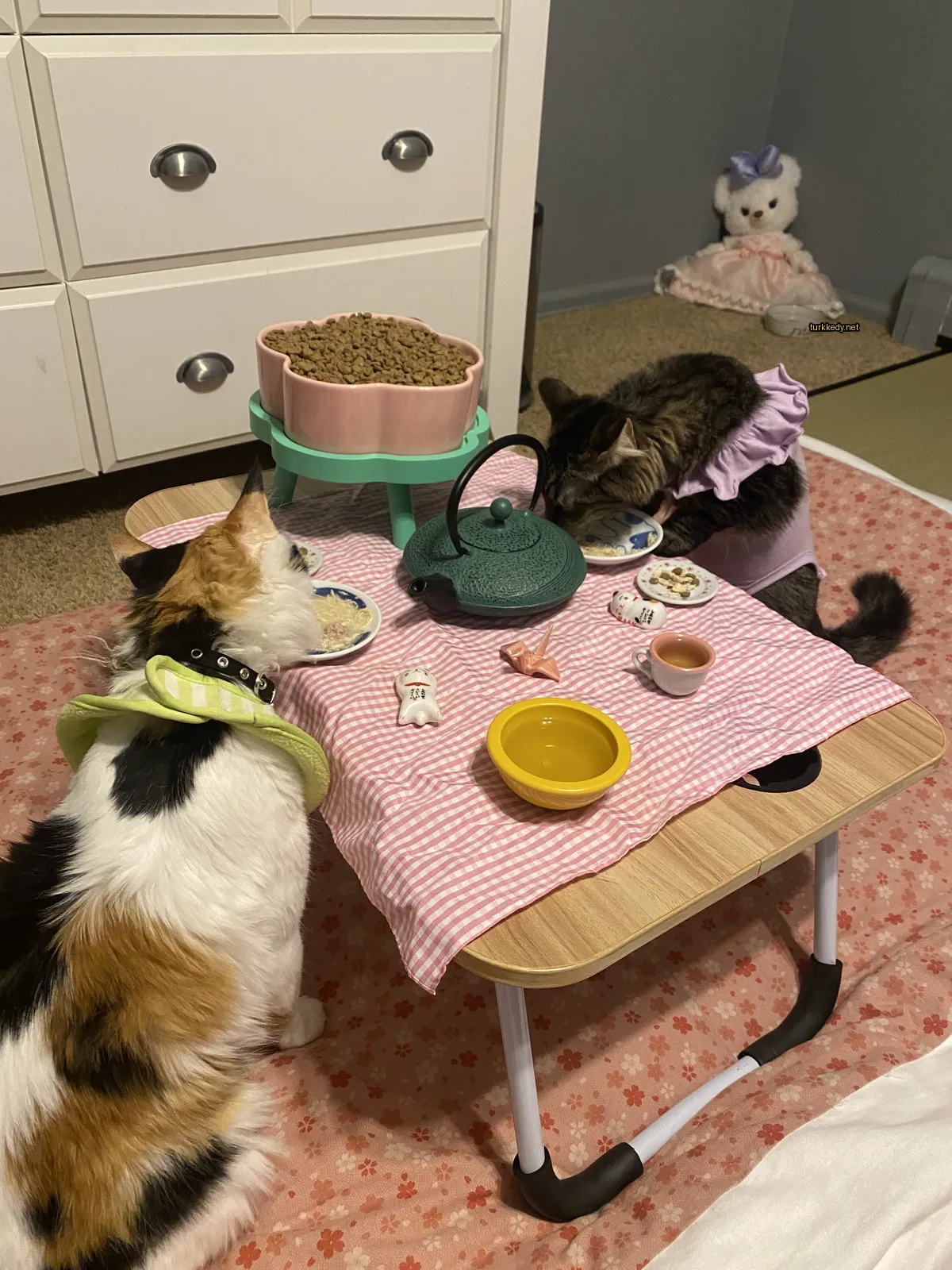 Siyah beyaz bir kedi, yeşil bir çaydanlık ve pembe bir bezli bir masada oturuyor.