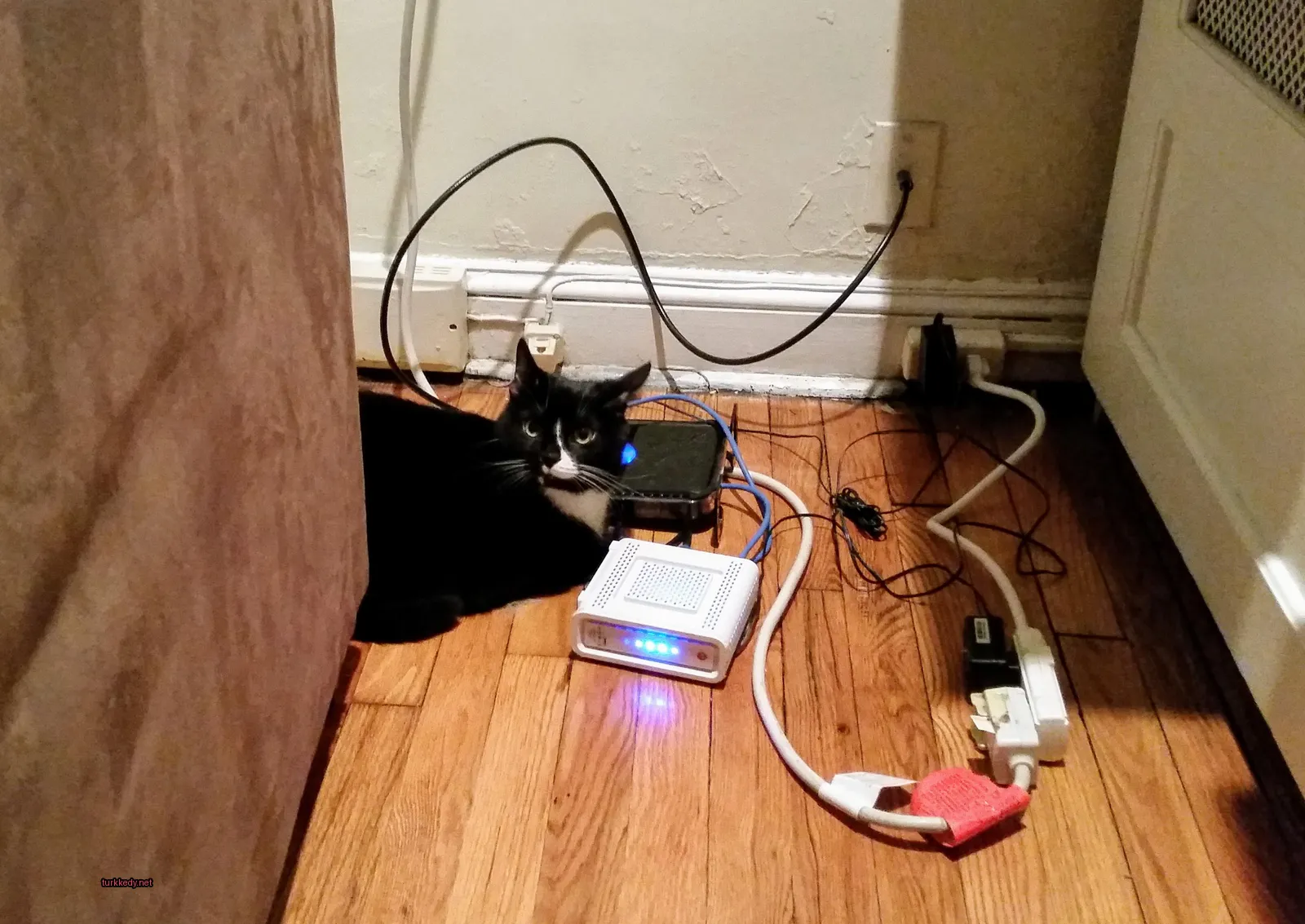 Siyah beyaz bir kedi zemine uzanmış.