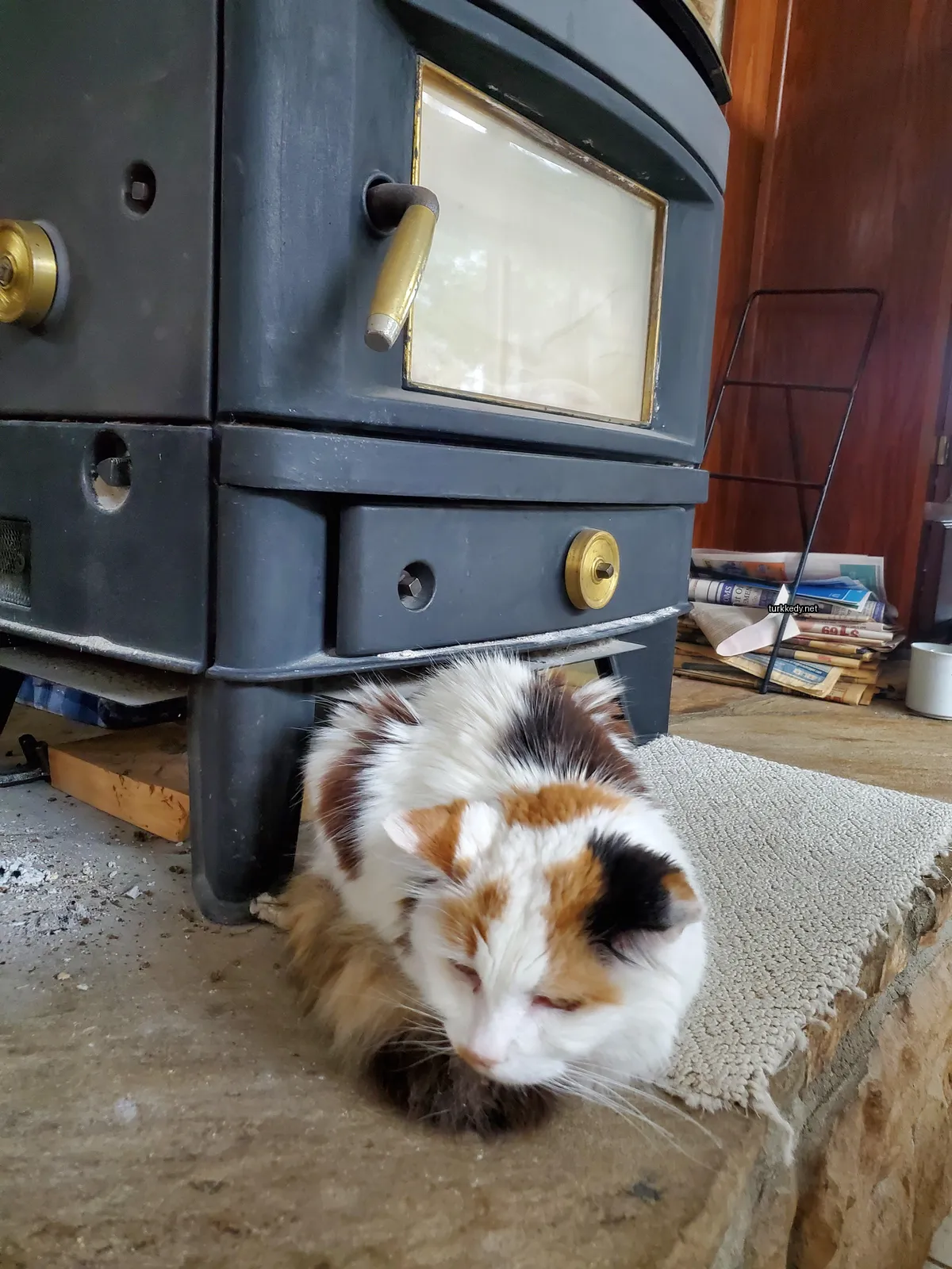 Siyah ve beyaz bir püskürtüye sahip bir kedi bir sobanın önünde bir halı üzerinde yatıyor.