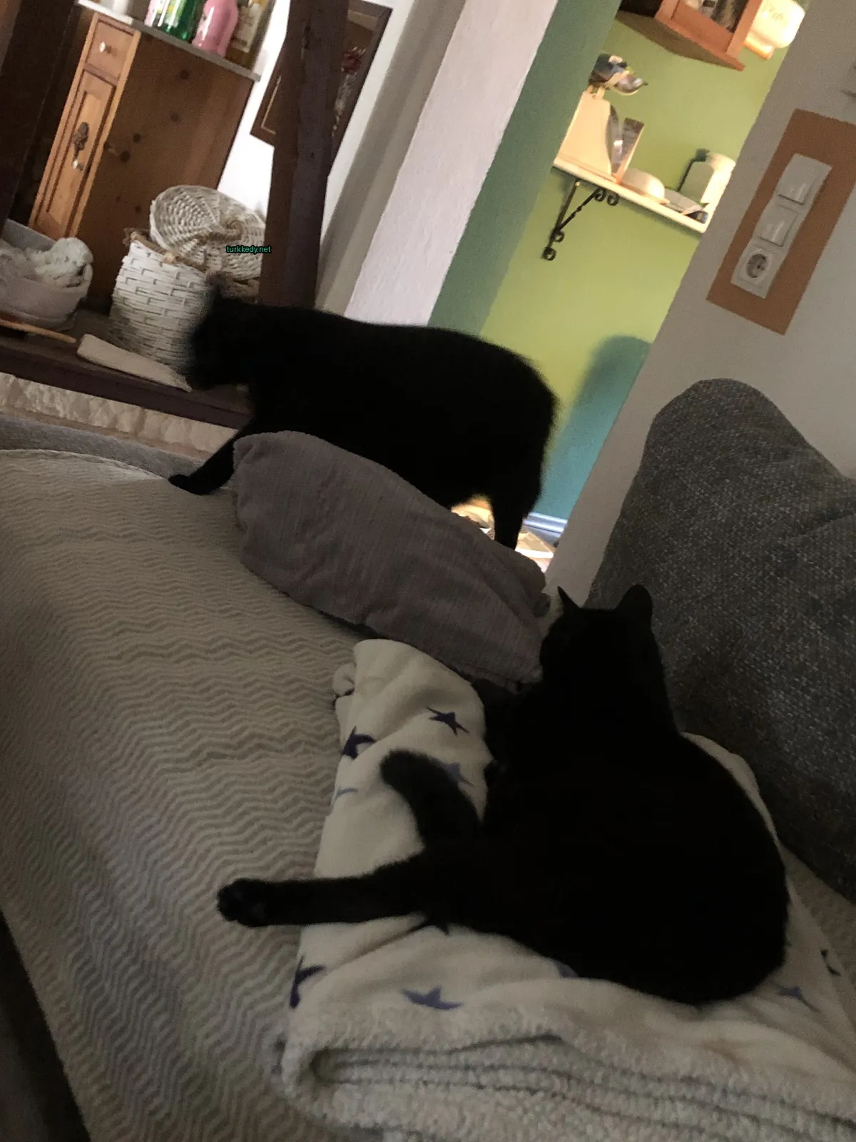 Siyah bir kedi beyaz bir örtü üzerinde bir sofa üzerinde yatıyor.