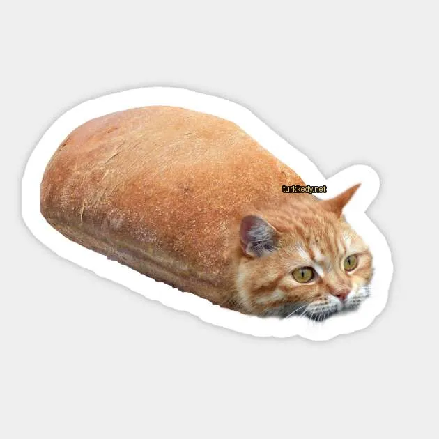 Koyu ve beyaz bir kedi ekmeğe uzanmış.